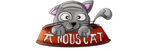 Design sans titre 20