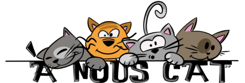À NOUS CAT